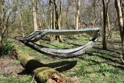 DD Hammocks Majoitteet ^ Nest MC riippumatto