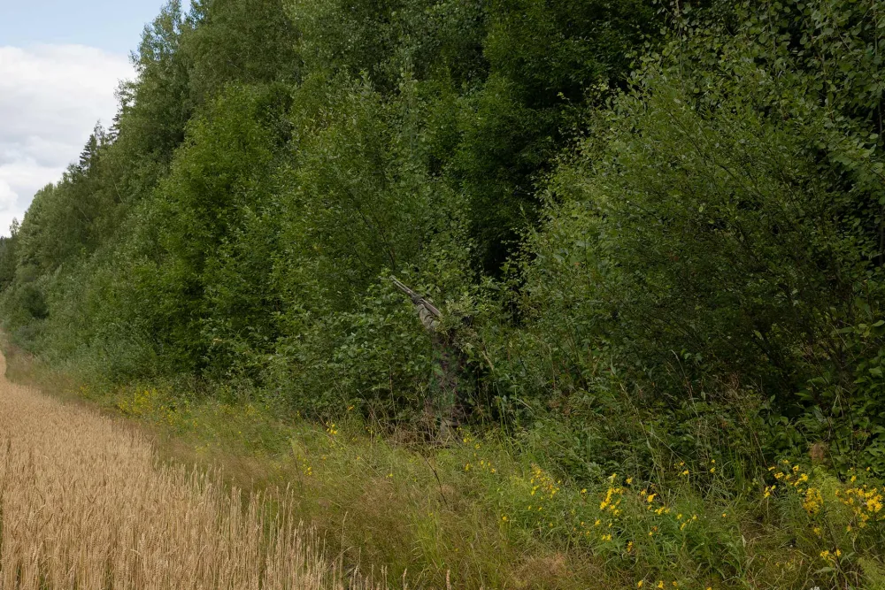 Särmä TST L7 Camouflage Layer|Naamiointi ^ Varusteleka L7 naamioviitta